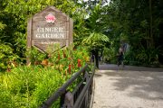 Ilustrační fotografie botanické zahrady v Singapuru