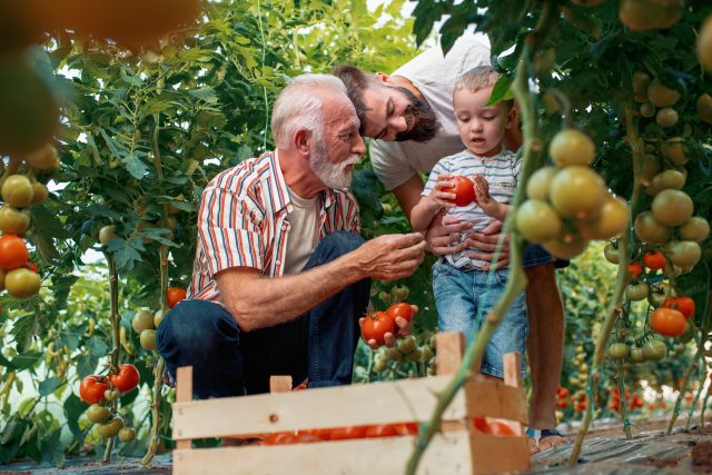Ilustrační fotografie farmářů