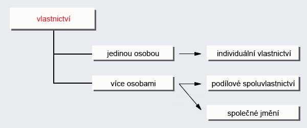 Schema různých forem vlastnictví: individuální, podílové spoluvlastnictví a společné jmění