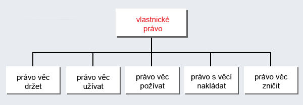 Schema oprávnění plynoucích z vlastnického práva