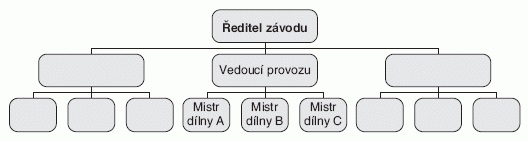 Liniová struktura a části organizace