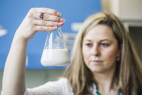Společnost Pragotherm objevila recept na zelenou epidemii zateplených fasád