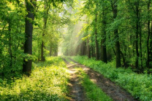 České regiony se v Kazachstánu představily v roli atraktivních turistických destinací
